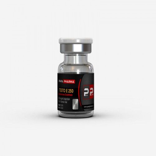 Testo E250-500x500 Testostérone Enanthate Para Pharma 250mg/mL
