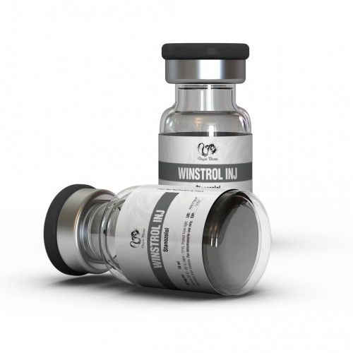 WINSTROL 50 INJ-500x500 Winstrol Injectable Dragon Pharma 50mg/mL