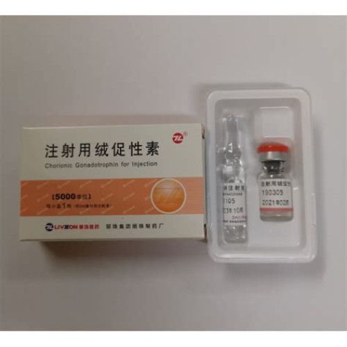 hcg livzon-500x500 HCG 5000IU Livzon