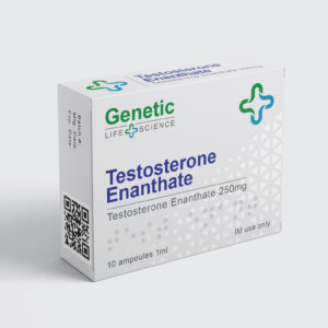 Testostérone Enanthate – Genetic – 250mg/mL